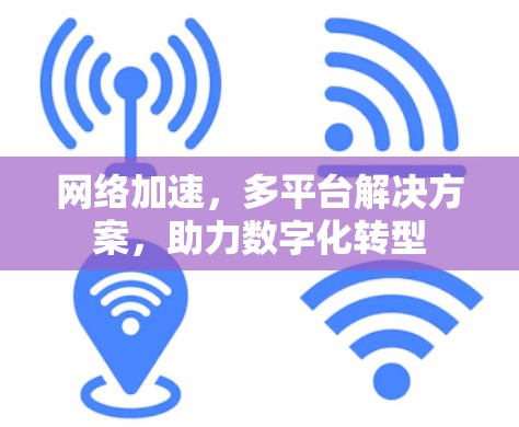 网络加速，多平台解决方案，助力数字化转型