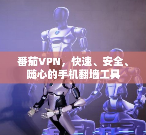 番茄VPN，快速、安全、随心的手机翻墙工具