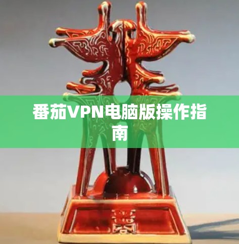 番茄VPN电脑版操作指南