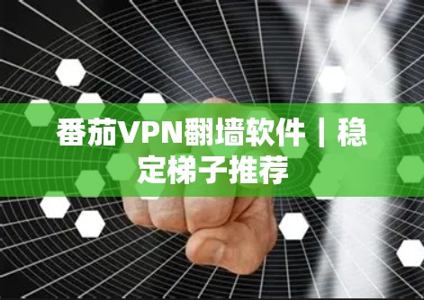 番茄VPN翻墙软件｜稳定梯子推荐