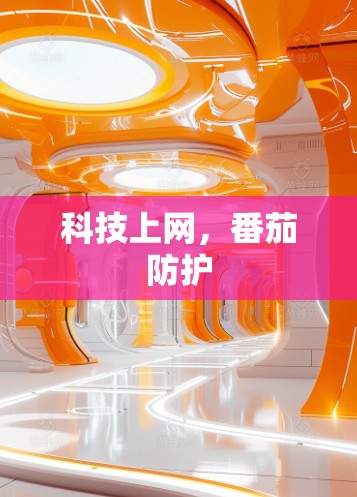 科技上网，番茄防护
