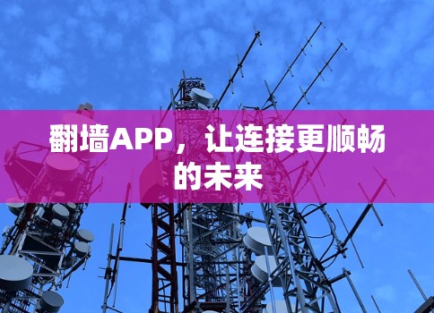 翻墙APP，让连接更顺畅的未来