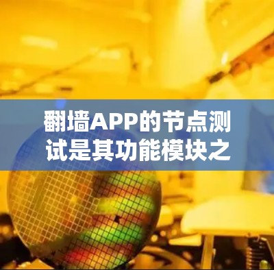 翻墙APP的节点测试是其功能模块之间的交互和验证过程，旨在确保每个节点的功能正常工作。以下是对翻墙APP节点测试的详细分析和步骤说明