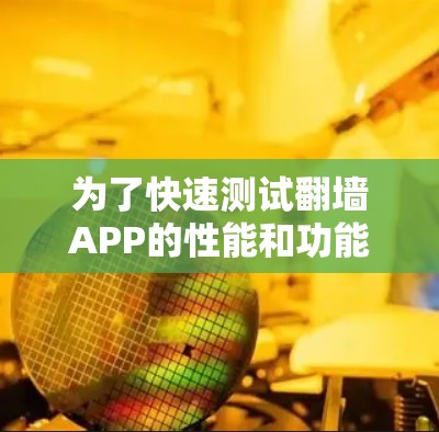为了快速测试翻墙APP的性能和功能，可以按照以下步骤操作