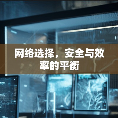 网络选择，安全与效率的平衡