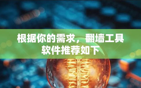 根据你的需求，翻墙工具软件推荐如下