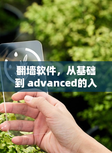 翻墙软件,从基础到 advanced的入门指南 翻墙软件,从基础到 advanced的入门指南