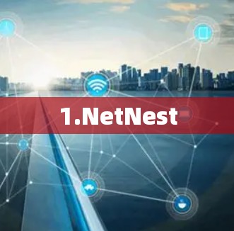 1.NetNest 1.NetNest