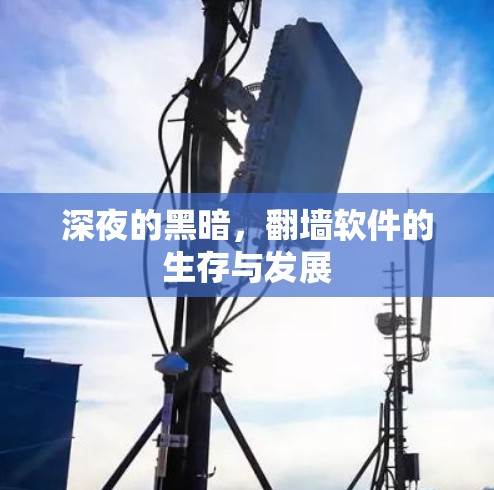 深夜的黑暗，翻墙软件的生存与发展