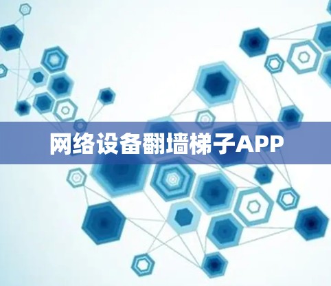 网络设备翻墙梯子APP 网络设备翻墙梯子APP