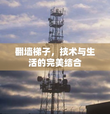 翻墙梯子,技术与生活的完美结合 翻墙梯子,技术与生活的完美结合