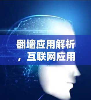 翻墙应用解析,互联网应用的未来挑战与解决方案 翻墙应用解析,互联网应用的未来挑战与解决方案