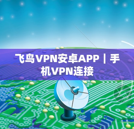 飞鸟VPN安卓APP|手机VPN连接 飞鸟VPN安卓APP|手机VPN连接