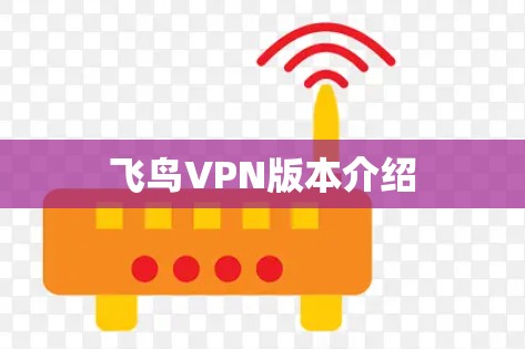 飞鸟VPN版本介绍 飞鸟VPN版本介绍