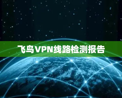 飞鸟VPN线路检测报告 飞鸟VPN线路检测报告