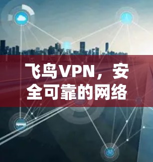飞鸟VPN，安全可靠的网络探索