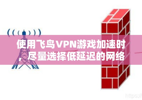 使用飞鸟VPN游戏加速时，尽量选择低延迟的网络连接方式，以确保游戏运行顺畅且不会受到延迟影响。以下是几个常用的方法
