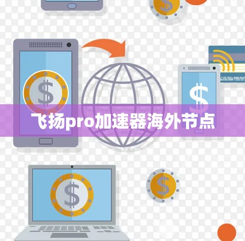 飞扬pro加速器海外节点